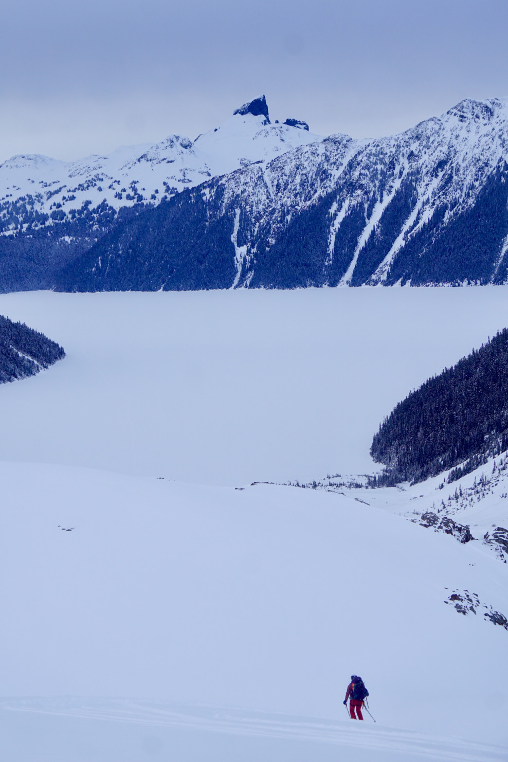 Looking's free, touching will cost ya