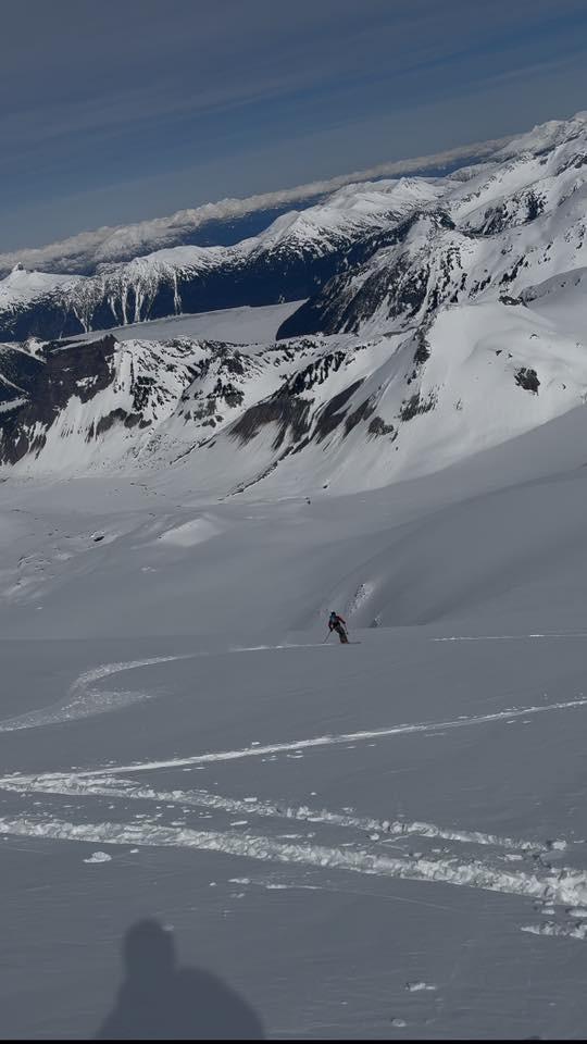 A view from the Warren, g.